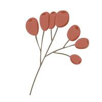 Simple Autumn twig with berries. Rowanberry. Hand drawn element for autumn decorative design, halloween invitation, harvest or thanksgiving vector