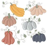 Set of colorful pumpkins. Thanksgiving and Halloween Elements for autumn decorative design, halloween invitation, harvest vector