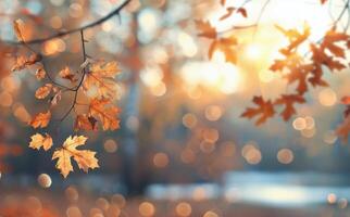 Golden Maple Leaves Against a Soft Autumn Sunset Over a Tranquil Water Surface photo