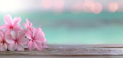 Pink Flowers Resting on Weathered Wood by the Ocean at Sunset photo