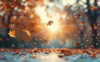 Golden Maple Leaves Against a Soft Autumn Sunset Over a Tranquil Water Surface photo