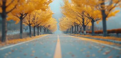 Autumn Trees Lining a Foggy Road With Fallen Leaves in a Scenic Landscape photo