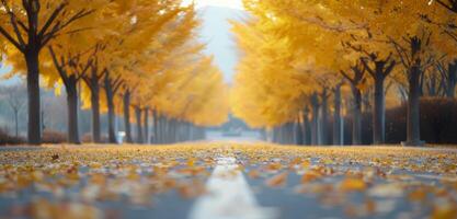 Autumn Trees Lining a Foggy Road With Fallen Leaves in a Scenic Landscape photo