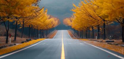 Autumn Trees Lining a Foggy Road With Fallen Leaves in a Scenic Landscape photo