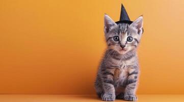 Playful Gray Tabby Kitten Sitting Against a Bright Yellow Background photo