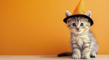 Playful Gray Tabby Kitten Sitting Against a Bright Yellow Background photo