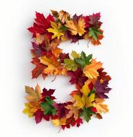 Colorful Autumn Leaves Arranged in Shape of Number Five on White Background photo
