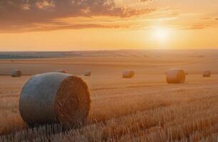 Hay Bales Resting in Golden Field at Sunset photo