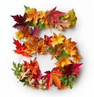 Colorful Autumn Leaves Arranged in Shape of Number Five on White Background photo