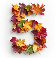 Colorful Autumn Leaves Arranged in Shape of Number Five on White Background photo