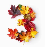 Autumn Leaves Arranged in the Shape of a Number Three photo