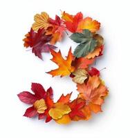 Autumn Leaves Arranged in the Shape of a Number Three photo