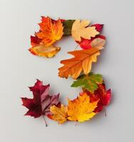 Autumn Leaves Arranged in the Shape of a Number Three photo