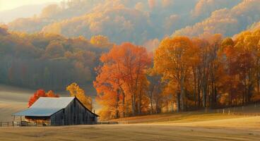 Rustic Barn Surrounded by Colorful Autumn Trees in Golden Hour Light photo