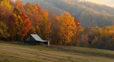 Rustic Barn Surrounded by Colorful Autumn Trees in Golden Hour Light photo