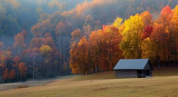 Rustic Barn Surrounded by Colorful Autumn Trees in Golden Hour Light photo