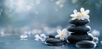Tranquil Spa Setting With Black Stones and White Flowers on Calm Water Surface photo