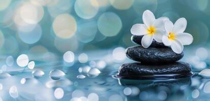 Tranquil Spa Setting With Black Stones and White Flowers on Calm Water Surface photo