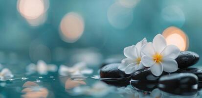 Tranquil Spa Setting With Black Stones and White Flowers on Calm Water Surface photo