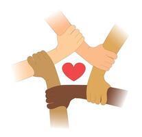 Hands of different races with heart on the white background vector