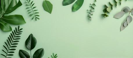 Arrangement of Fresh Green Leaves on Pale Green Background photo