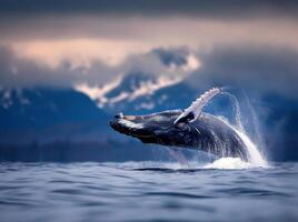 Humpback Whale Breaching in Ocean Near Rocky Coastline on Sunny Day photo