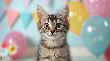 Adorable Gray Kitten Surrounded by Colorful Balloons at a Celebration photo