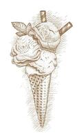 Ice cream in a waffle cone by hand drawn vector