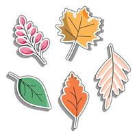 A set of stickers and icons of autumn leaves on a white background. vector