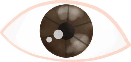 Elements of Ophthalmology vector