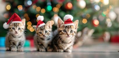 Three Playful Kittens in Christmas Hats Surrounding a Decorated Tree photo