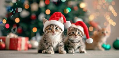 Three Playful Kittens in Christmas Hats Surrounding a Decorated Tree photo