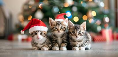 Three Playful Kittens in Christmas Hats Surrounding a Decorated Tree photo