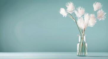 Elegant White Flowers in a Simple Vase Against a Soft Blue Background photo