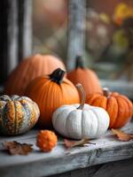 Pumpkins on a Dark Surface photo