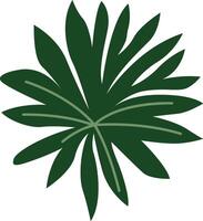 A stylish design featuring a bohemian Monstera leaf with intricate details and artistic flair, perfect for adding a touch of tropical elegance and boho charm to any project. vector