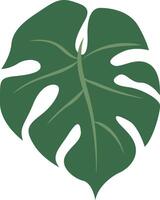 un elegante diseño presentando un bohemio monstera hoja con intrincado detalles y artístico instinto, Perfecto para agregando un toque de tropical elegancia y boho encanto a ninguna proyecto. vector