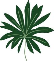 A stylish design featuring a bohemian Monstera leaf with intricate details and artistic flair, perfect for adding a touch of tropical elegance and boho charm to any project. vector