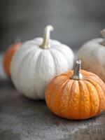Pumpkins on a Dark Surface photo