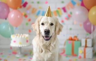 Golden Retriever Birthday Party photo