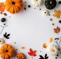 Autumnal Pumpkins and Leaves on White Background photo