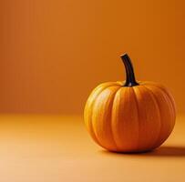 Single Pumpkin On Orange Background photo