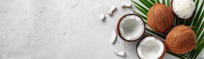 Coconut Halves and Palm Leaf on White Background photo