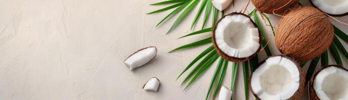 Coconut Halves and Palm Leaf on White Background photo