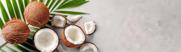 Coconut Halves and Palm Leaf on White Background photo