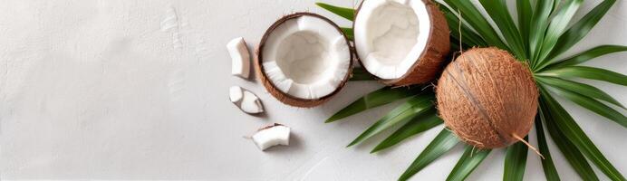 Coconut and Palm Leaves on White Background photo