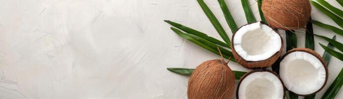 Coconut and Palm Leaves on White Background photo