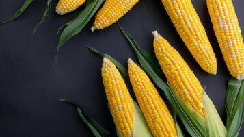 Corn on the Cob on Black Background photo