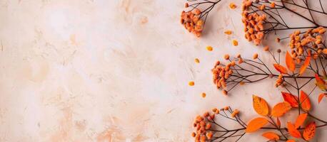 Autumn Leaves on Beige Background photo