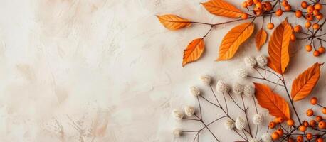 Autumn Leaves on Beige Background photo
